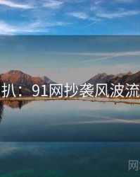 独家深扒：91网抄袭风波流量密码