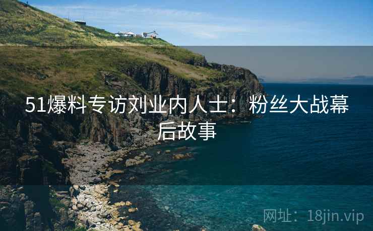 51爆料专访刘业内人士：粉丝大战幕后故事