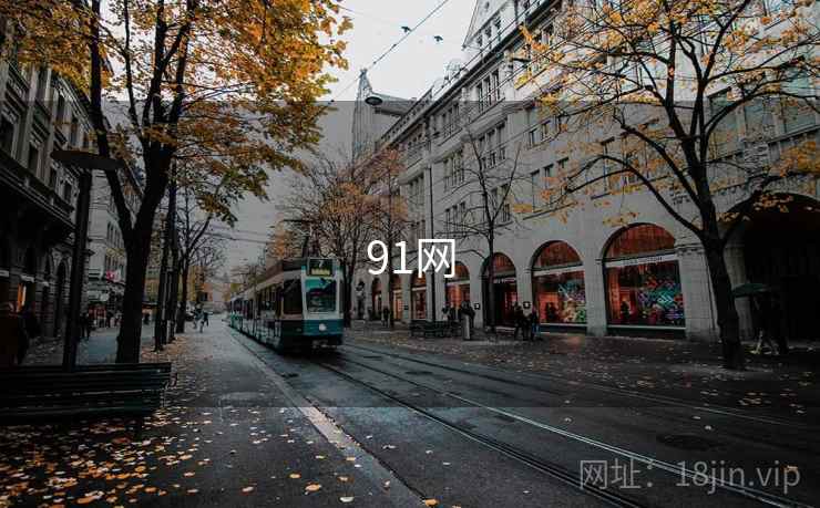 91网