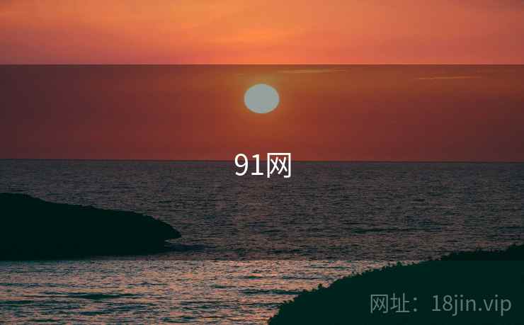 91网