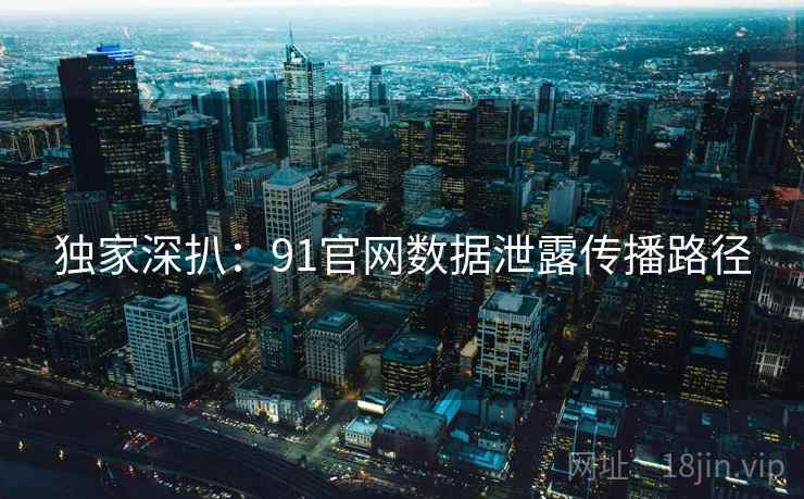 独家深扒：91官网数据泄露传播路径