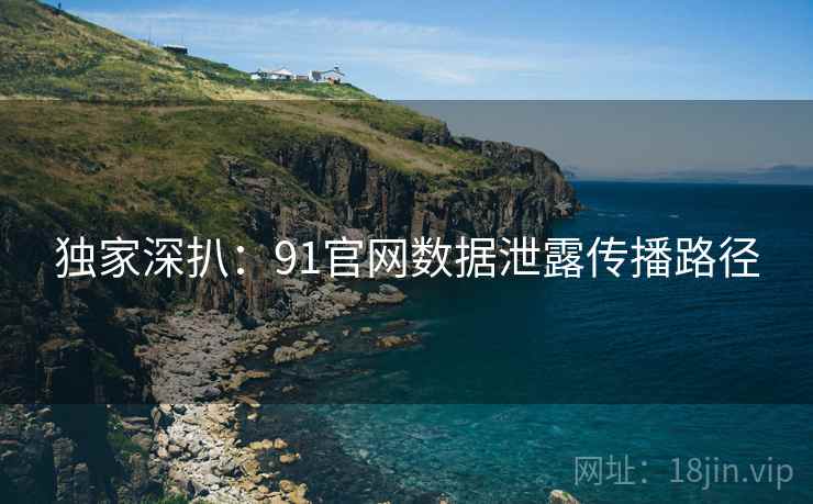 独家深扒：91官网数据泄露传播路径