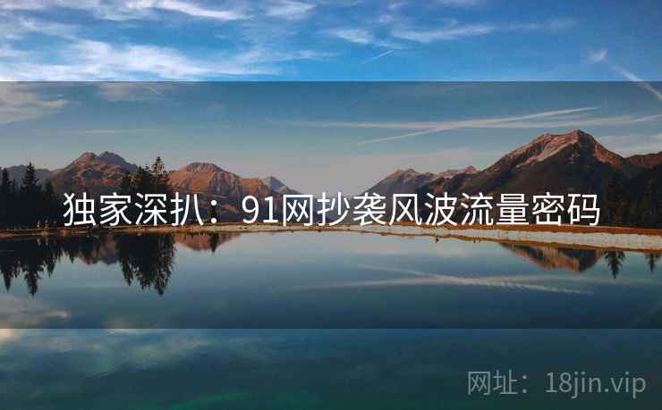 独家深扒：91网抄袭风波流量密码