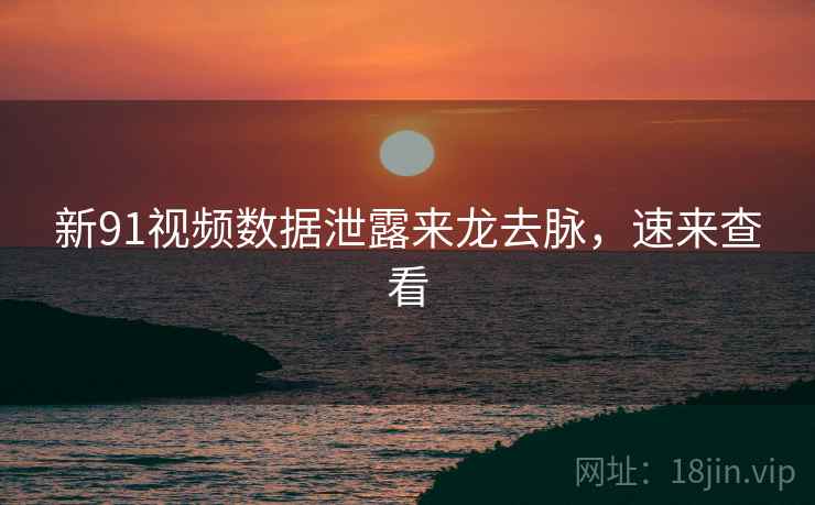 新91视频数据泄露来龙去脉，速来查看
