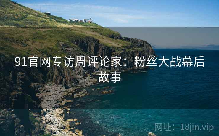 91官网专访周评论家：粉丝大战幕后故事