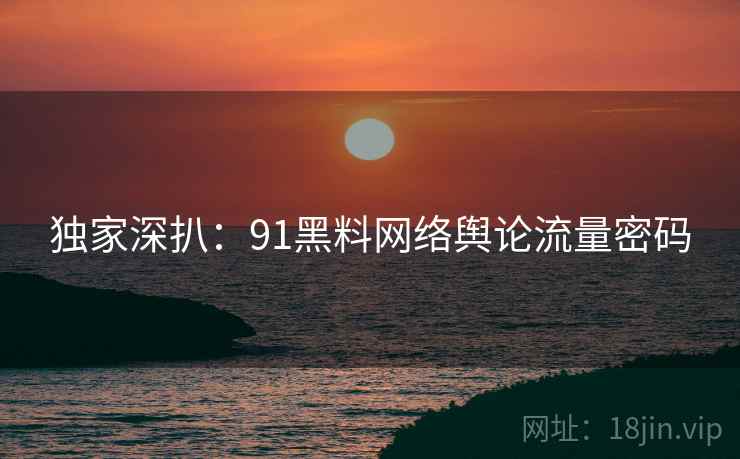 独家深扒：91黑料网络舆论流量密码