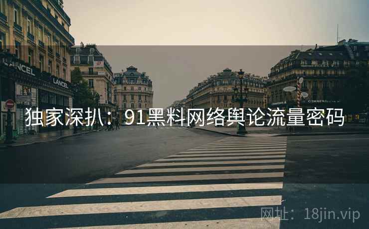 独家深扒：91黑料网络舆论流量密码