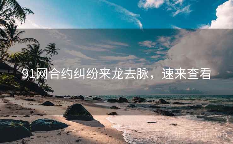 91网合约纠纷来龙去脉，速来查看