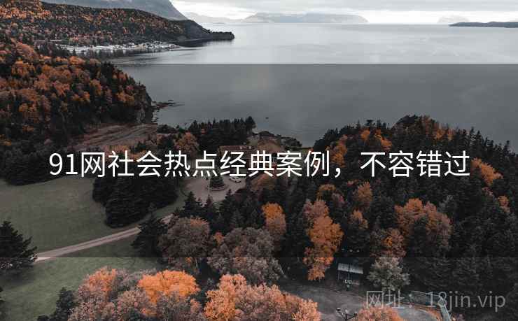 91网社会热点经典案例，不容错过