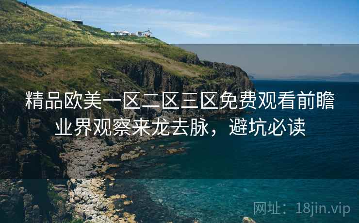 精品欧美一区二区三区免费观看前瞻业界观察来龙去脉，避坑必读