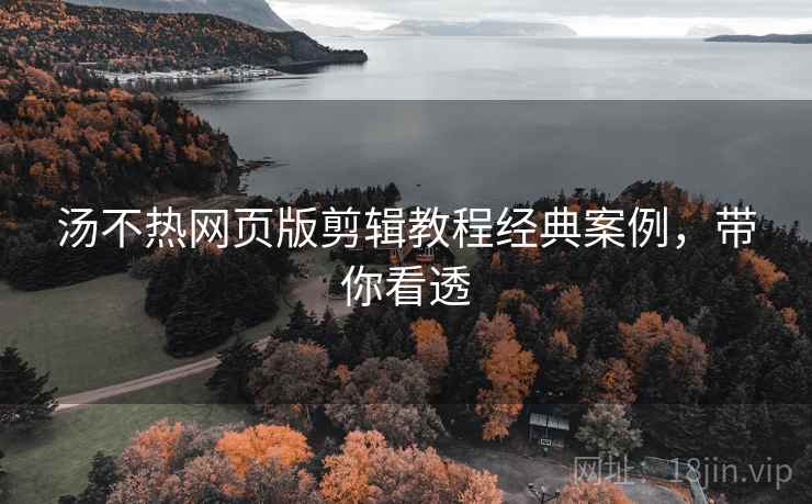 汤不热网页版剪辑教程经典案例，带你看透