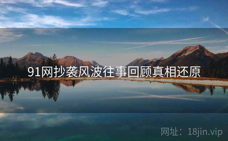 91网抄袭风波往事回顾真相还原